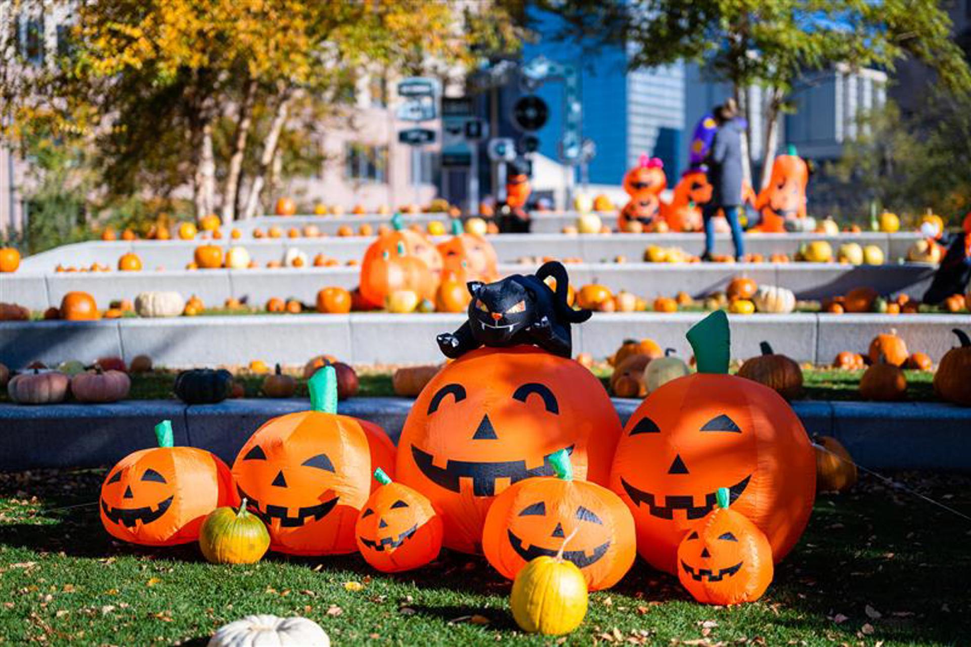 Cleveland’s Halloween Bucket List: Things to Do This Spooky Season