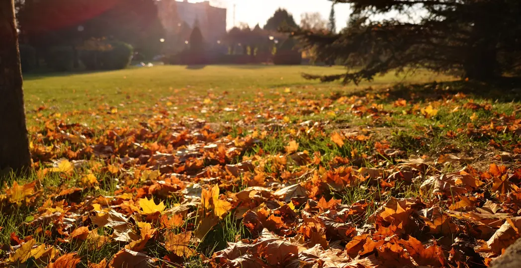 COURTESY iSTOCK PHOTO