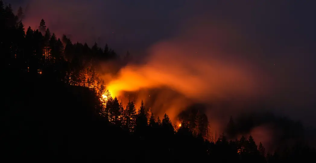 Photo by Darryl Dyck/The Canadian Press via AP