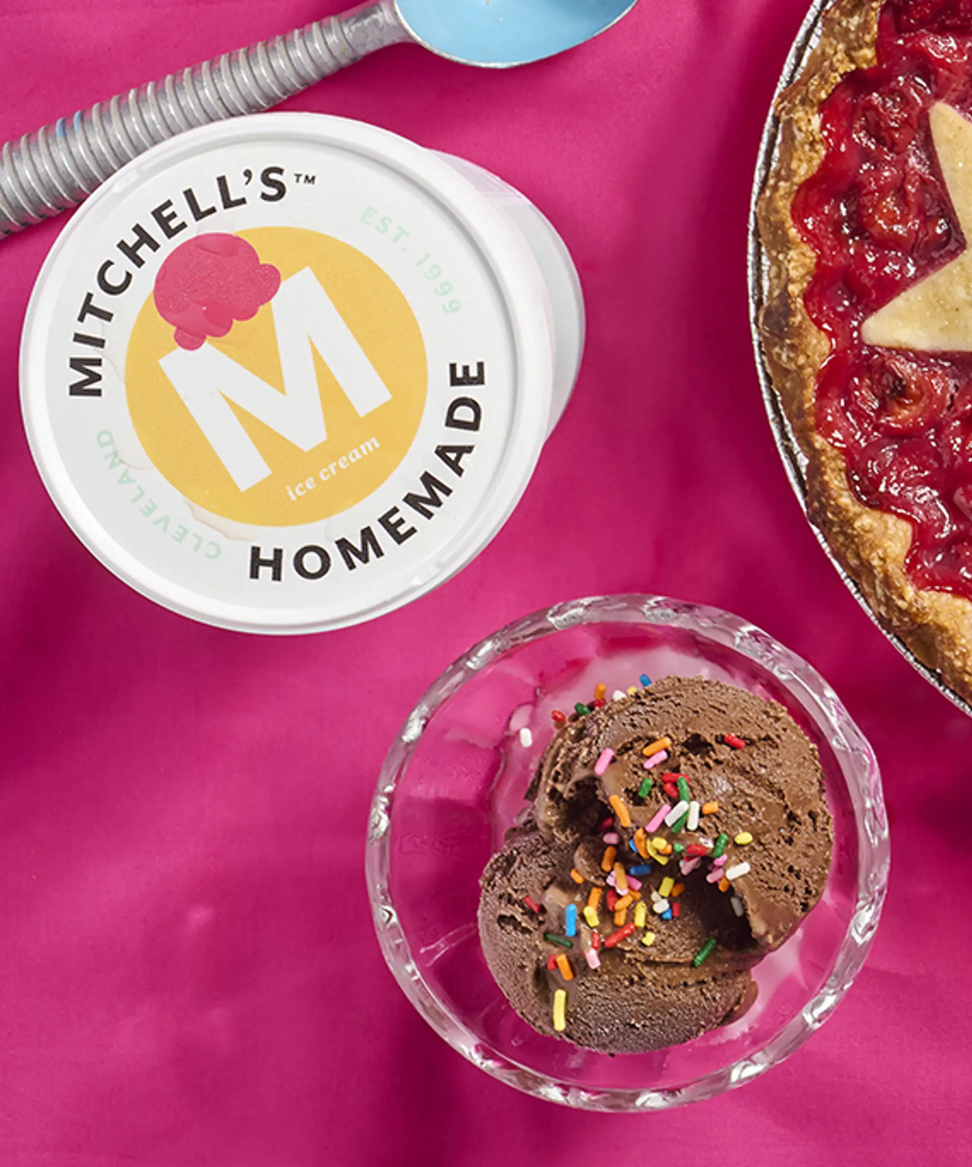 vegan chocolate mithcell's homemade ice cream