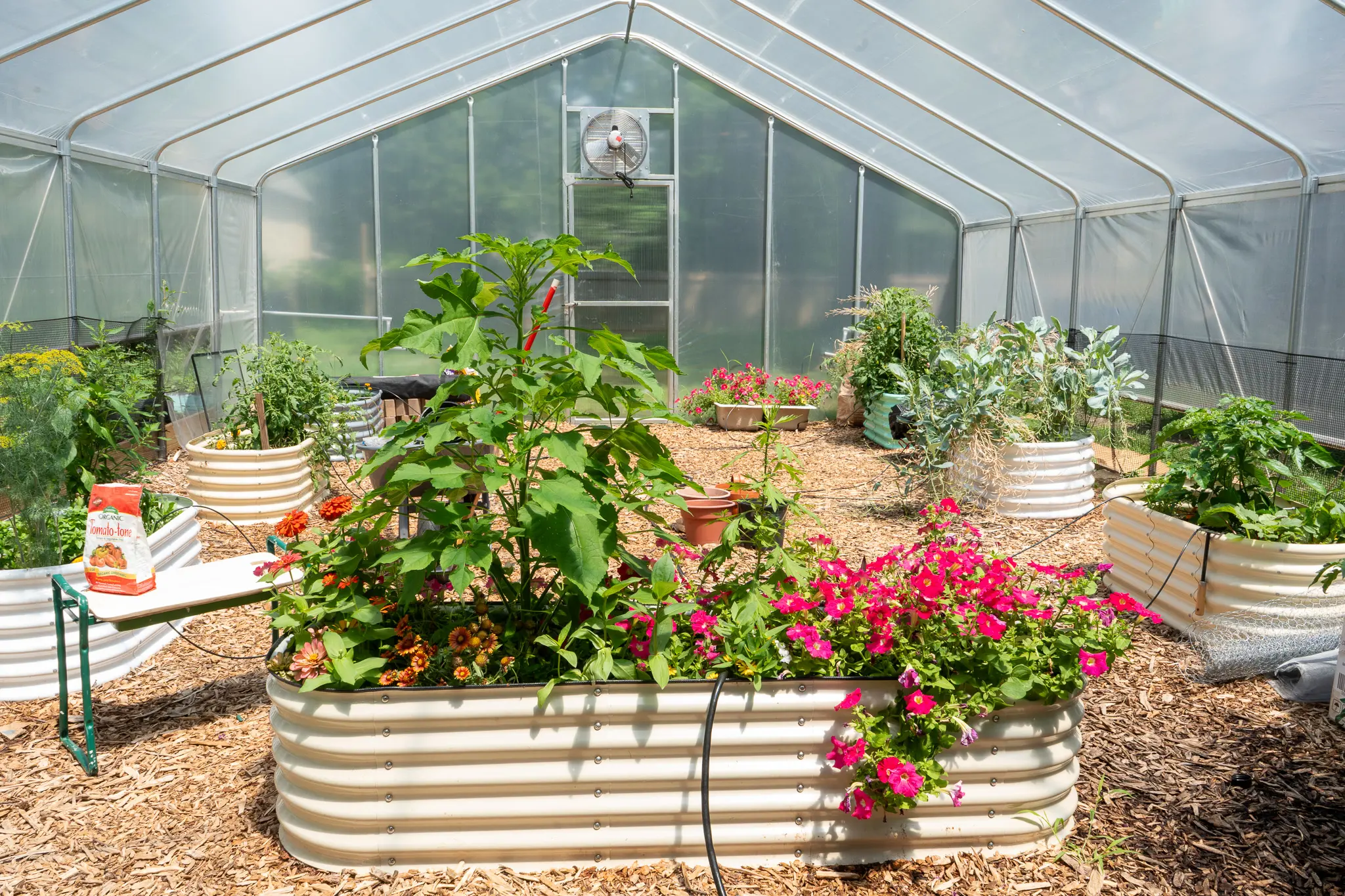 greenhouse with plant beds