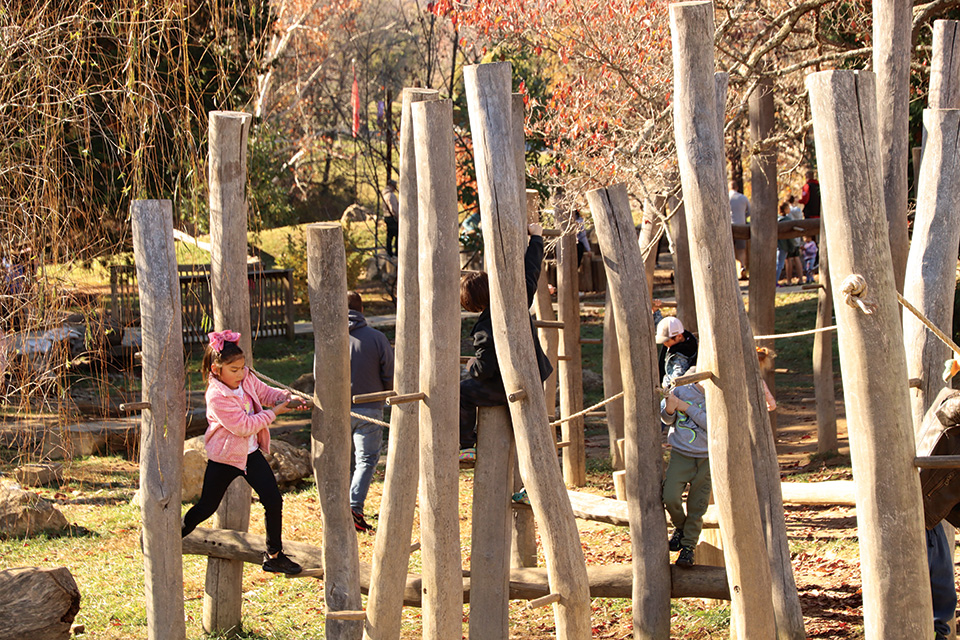 Bernheim Forest and Arboretum in Clermont, Kentucky (photo courtesy of Bernheim Forest and Arboretum)