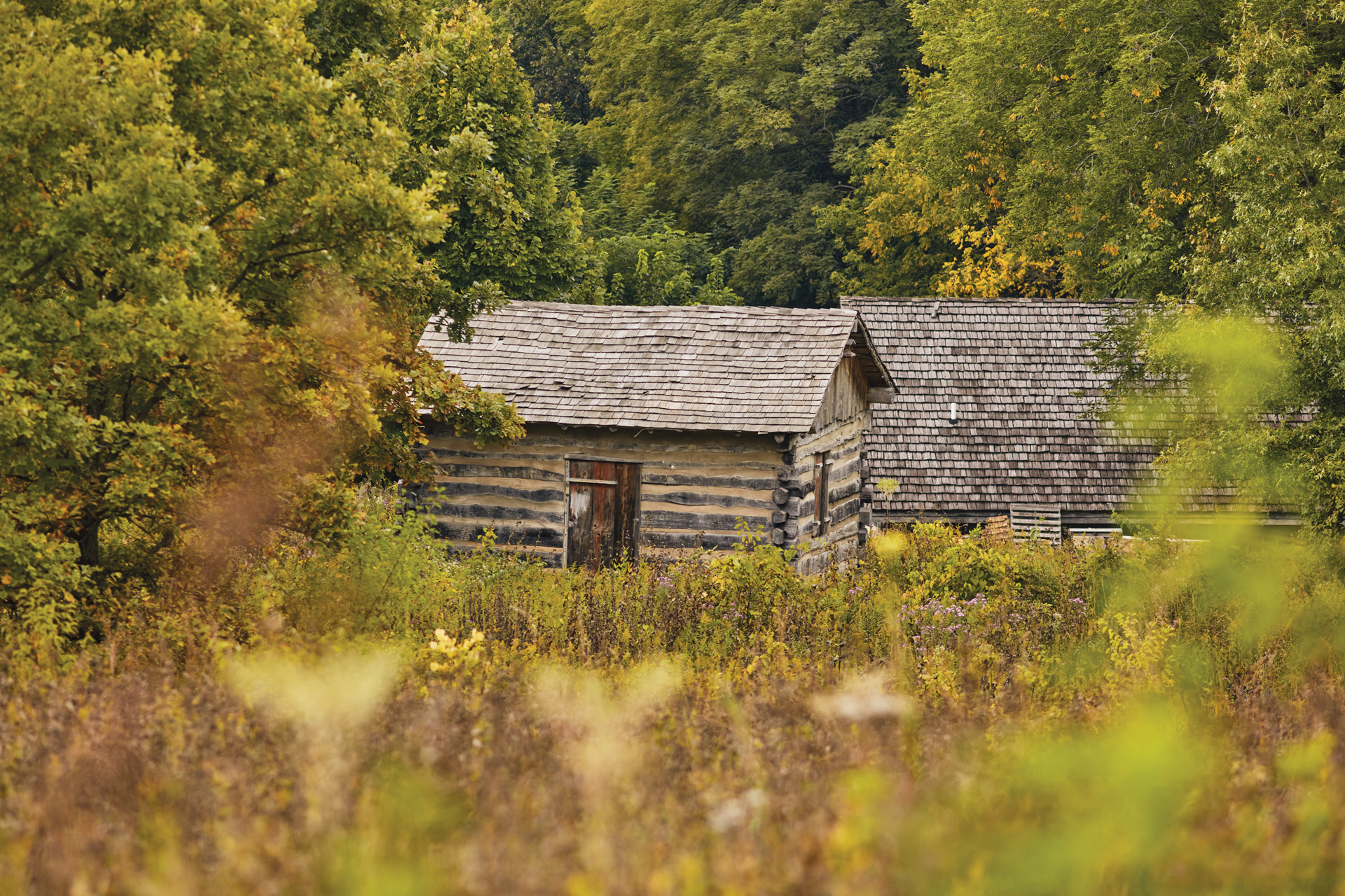 Apple River Fort State Historic Site in Elizabeth, Illinois (photo by Matt Haas) Apple River Fort State Historic Site in Elizabeth, Illinois (photo by Matt Haas)