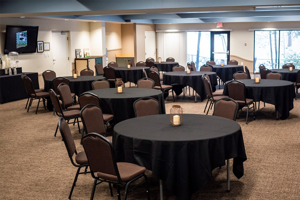 Treetops (courtesy of Cincinnati Zoo & Botanical Garden)
