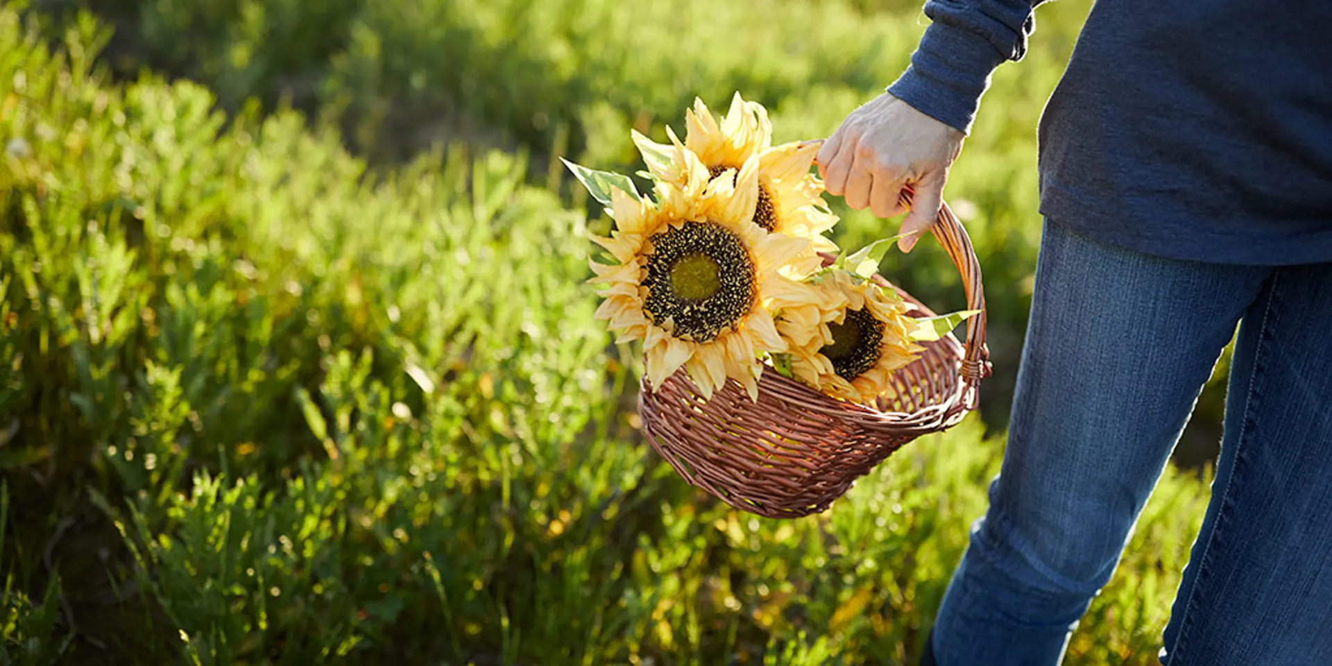 PHOTOGRAPHED BY JEFF DOWNIE