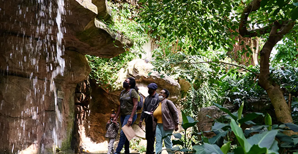 Courtesy Holden Forests & Gardens