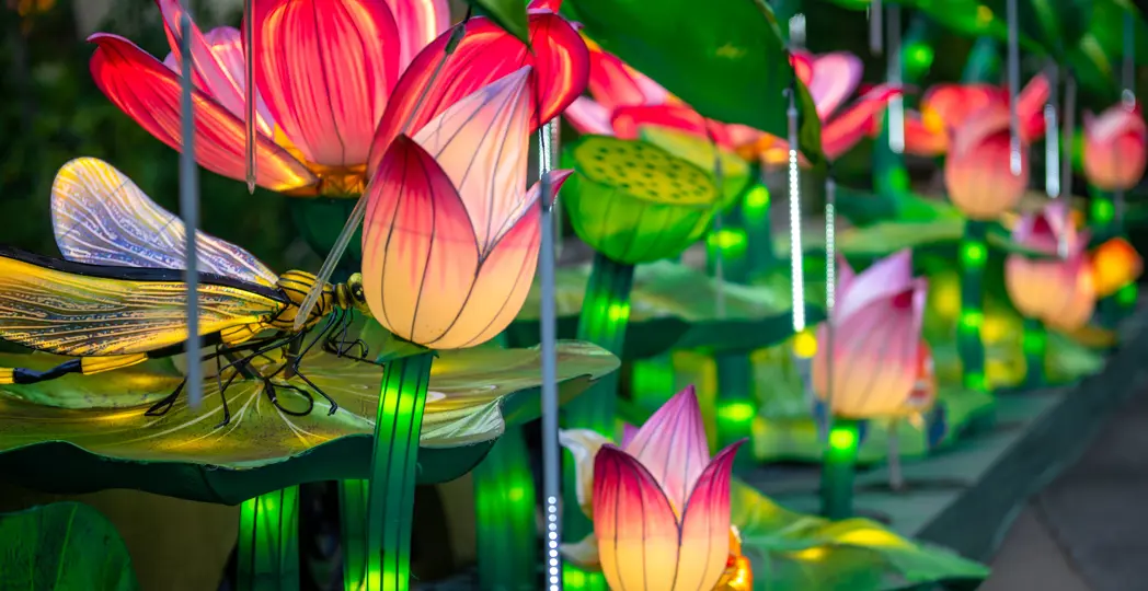 Courtesy Erik Drost via Flicker