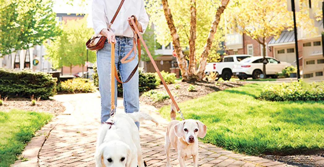 Jeani Brechbill Photography