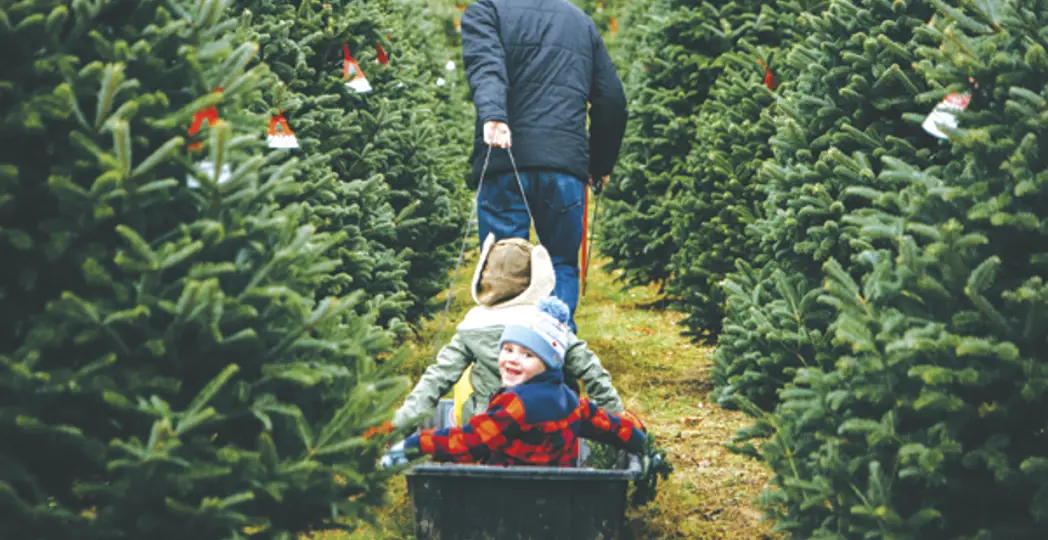 The Good Life Photography