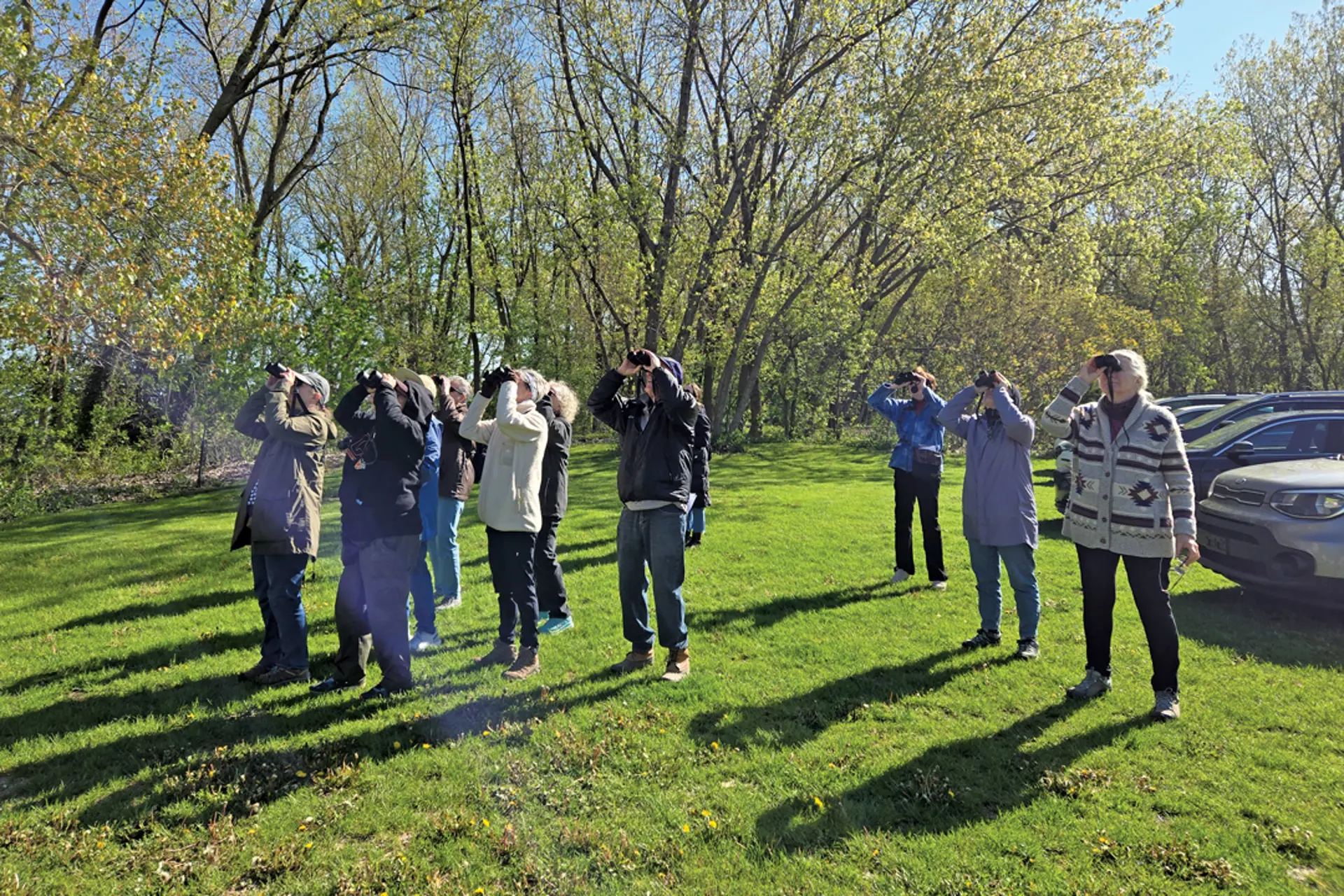 a group of bird watchers