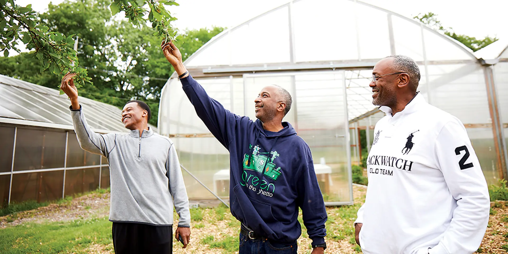 Men reach up to touch a tree.