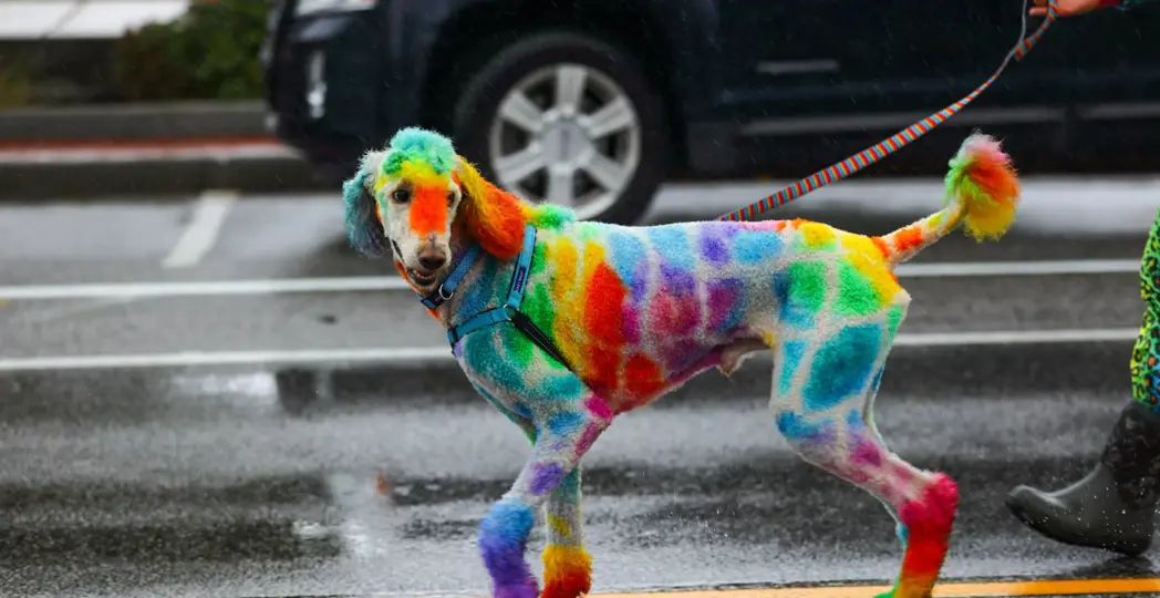 (Photo by Emanuel Wallace)