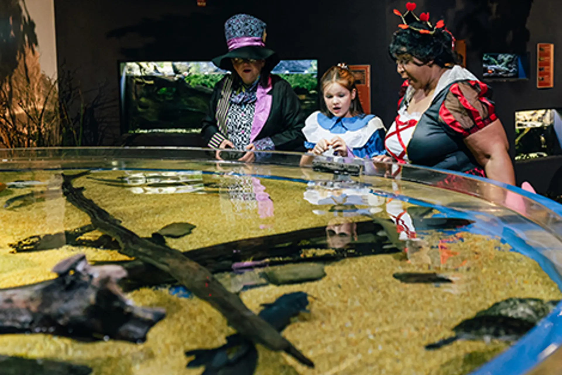 Courtesy the Greater Cleveland Aquarium