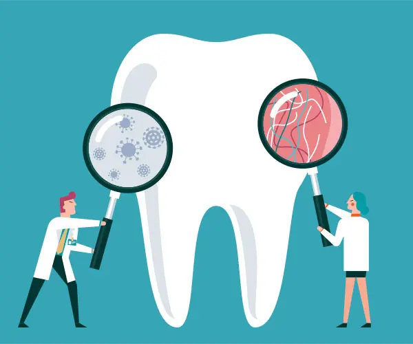 Discover The Top Dentists In Northeast Ohio