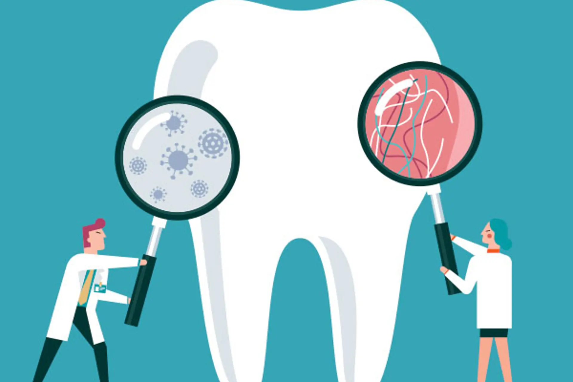 Discover The Top Dentists In Northeast Ohio