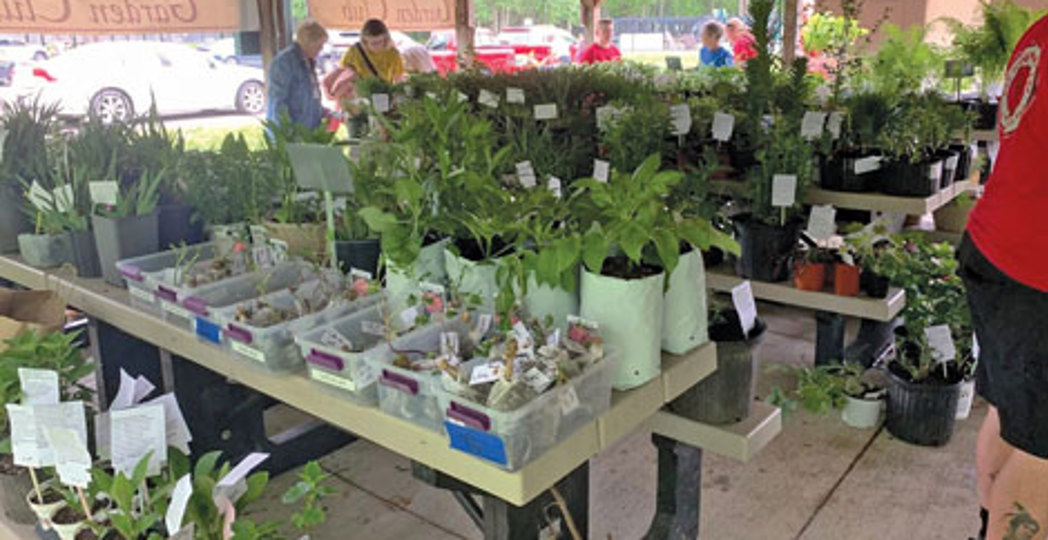 North Ridgeville Garden Club plant sale