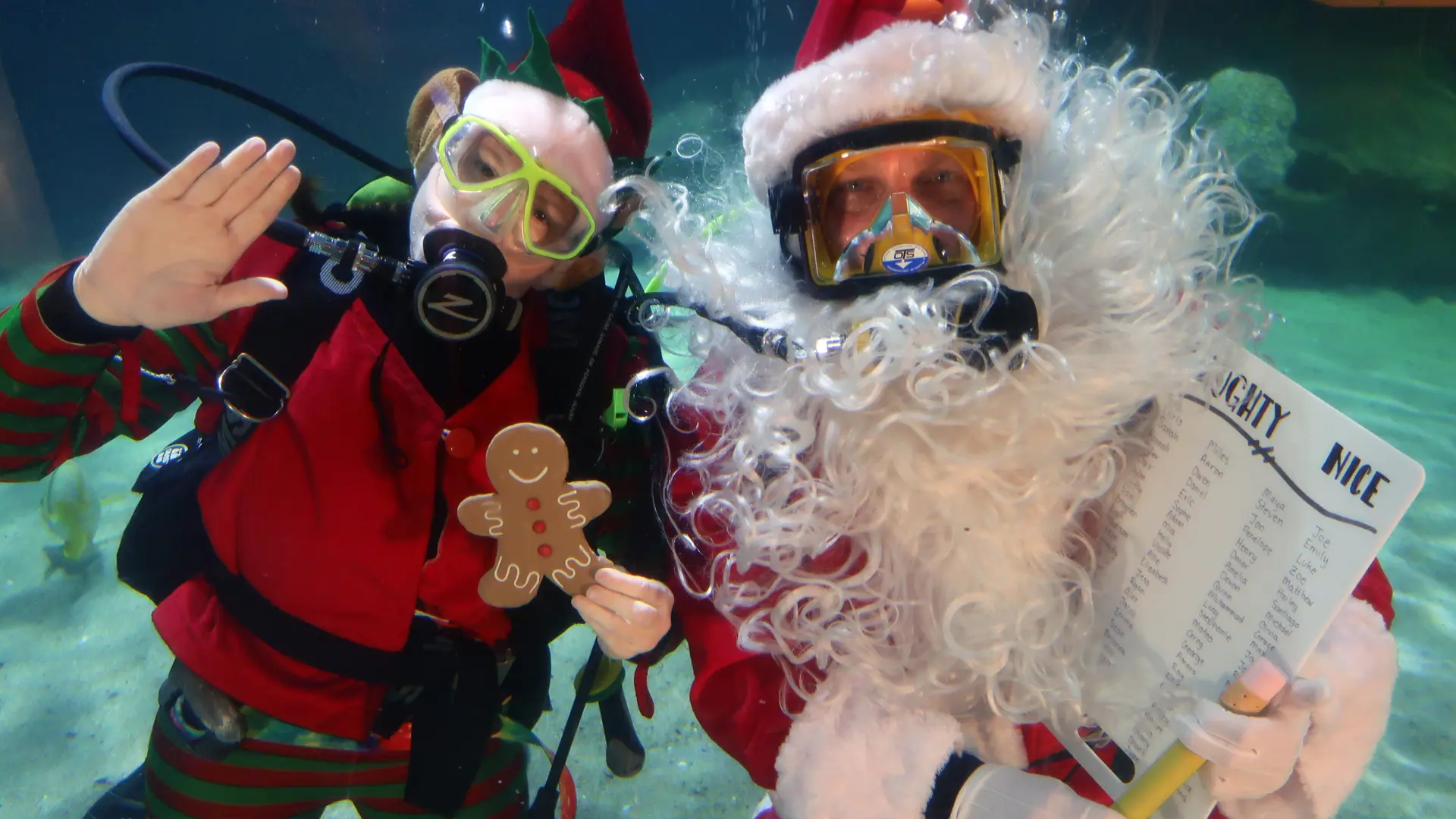  Scuba Claus at the GreatER Cleveland Aquarium