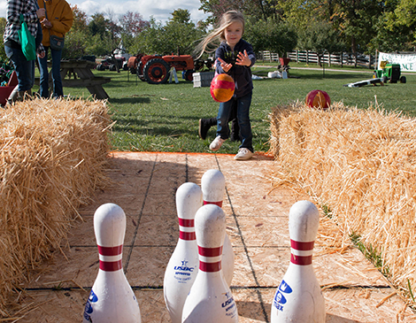 Lake Metroparks Farmpark fall fun corn fields pumpkin 