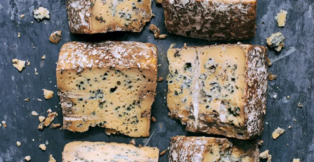 BurkleHagen Photography