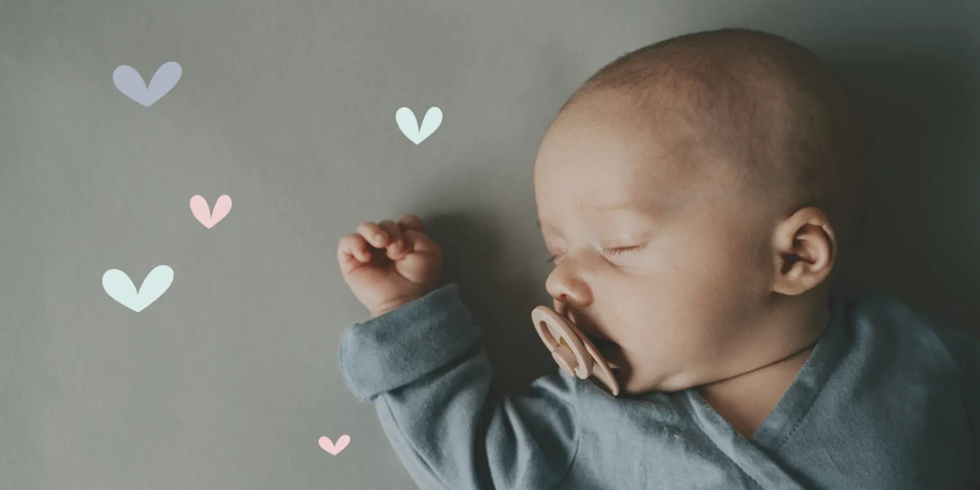 PHOTOGRAPHED BY SUZANNE PRICE