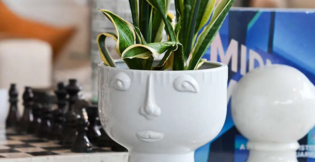 Courtesy Surroundings Home Decor, Courtesy Tart Boutique, Courtesy W Home Collection, Courtesy Wild Iris Home