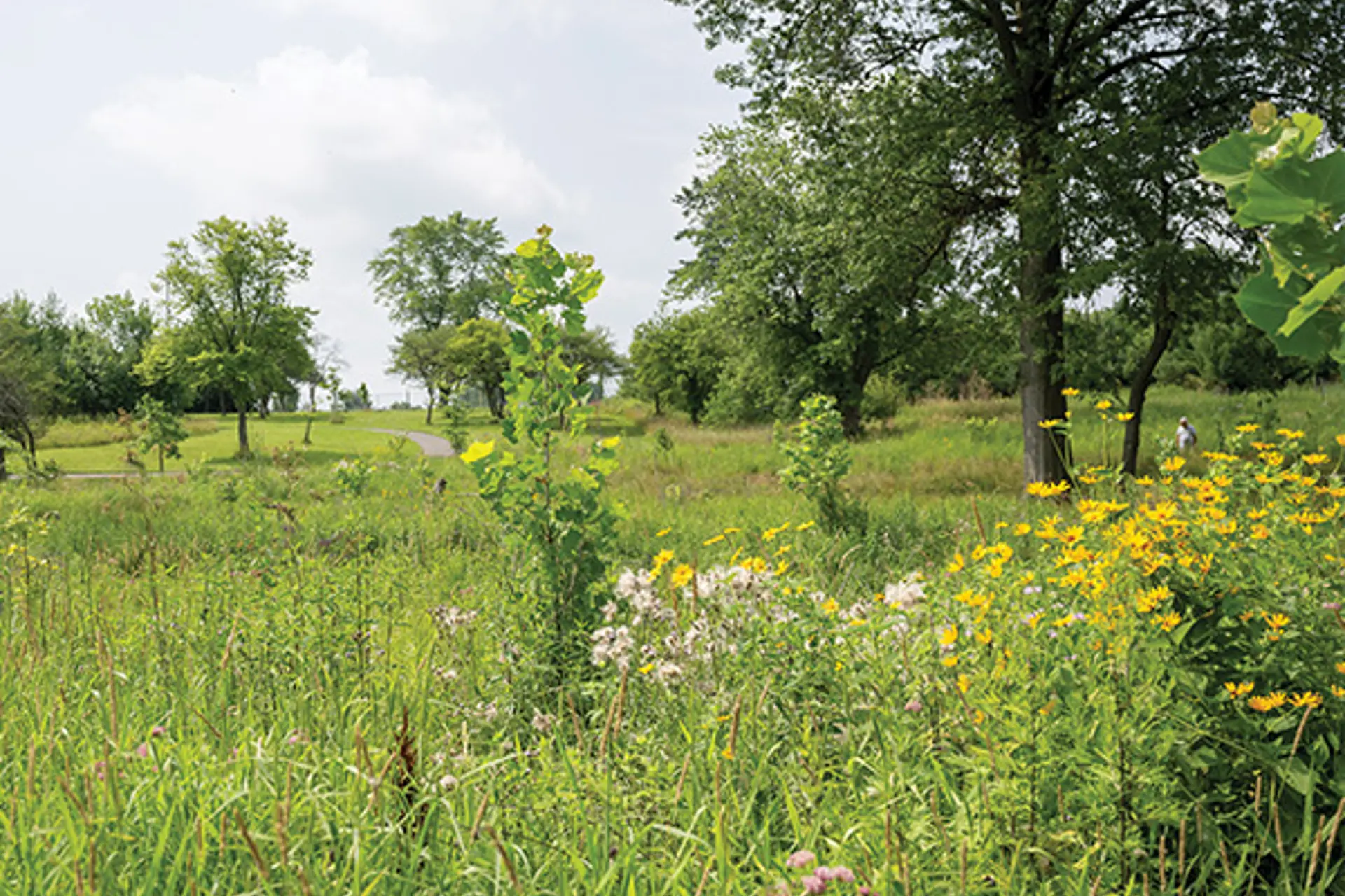 What Brooklyn's New Master Plan and Zoning Code Mean for Residents