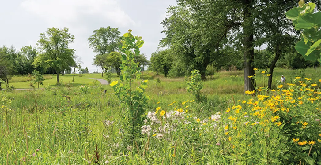 Courtesy City of Brooklyn