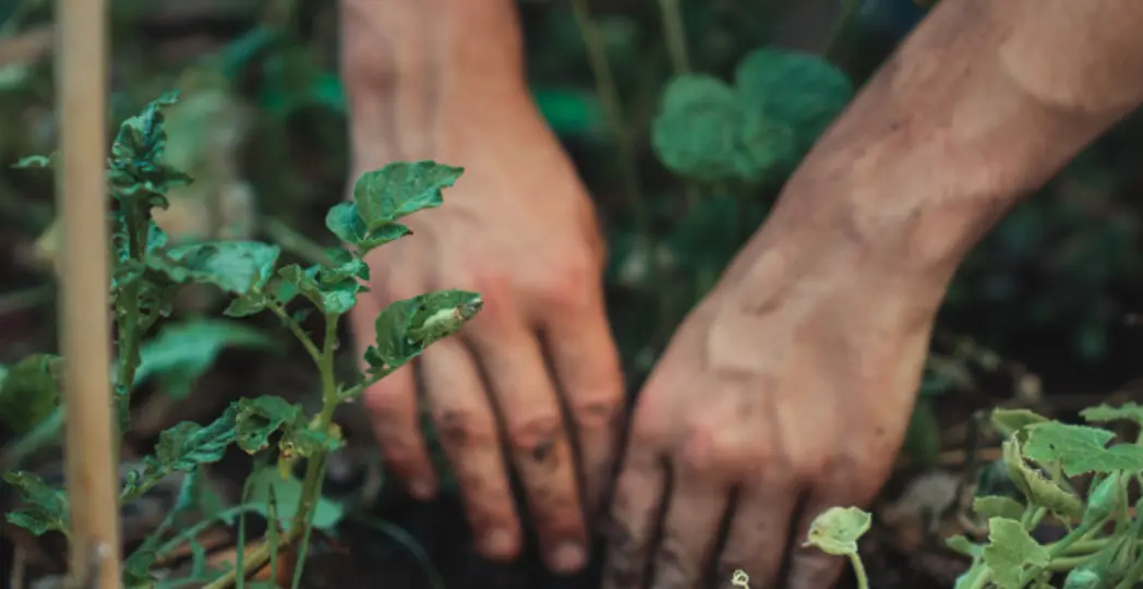 Photo by Jonathan Kemper on Unsplash