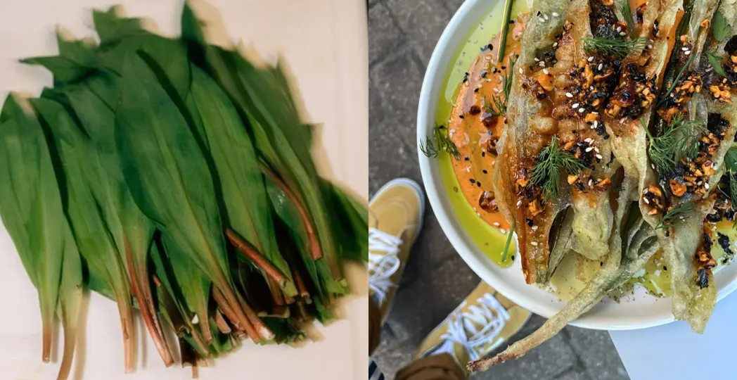 Courtesy Dylan Palchesko