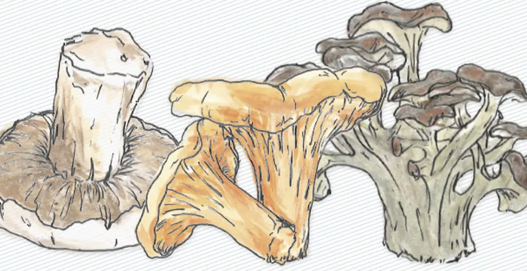 Kendra Huspaska, Amber Beall