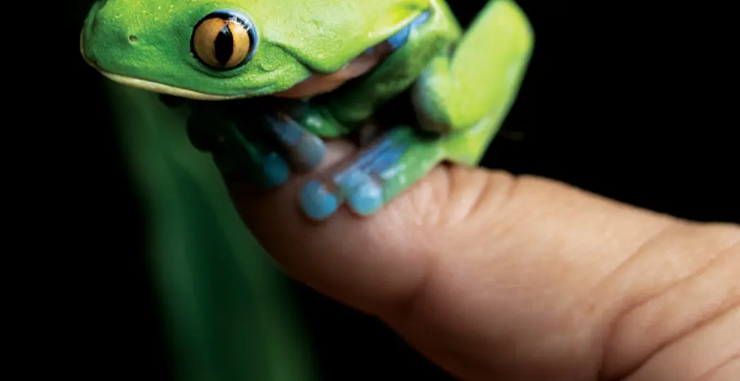 Courtesy iStock Photos