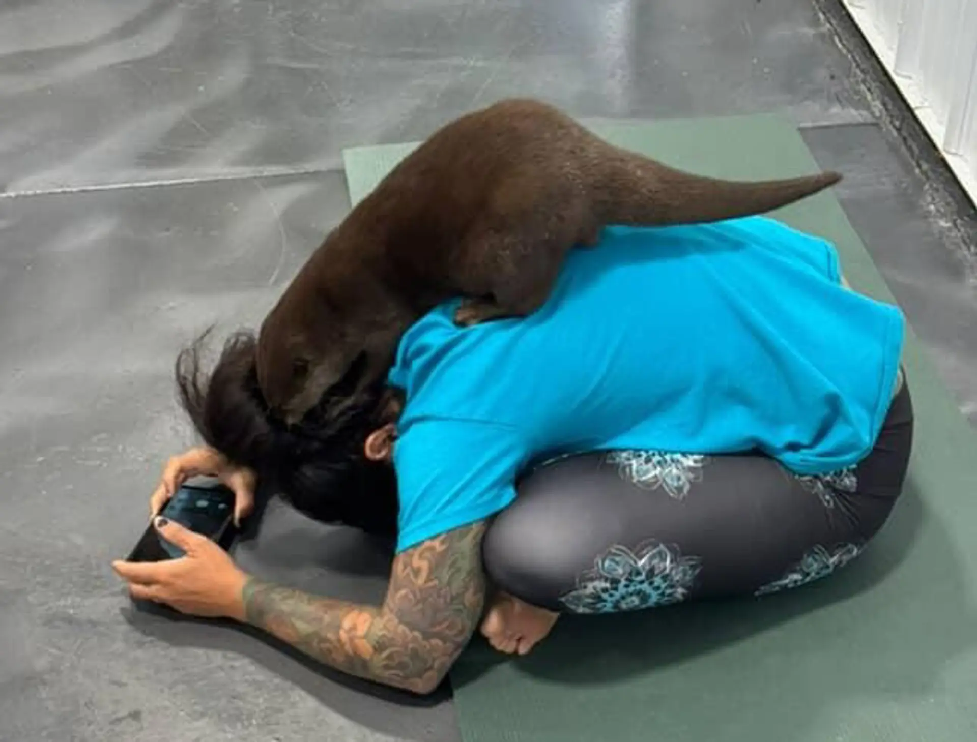 Otter Yoga | COURTESY META SOUL YOGA STUDIO