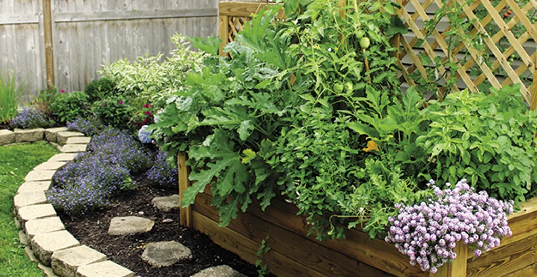 Courtesy Kelly's Creations