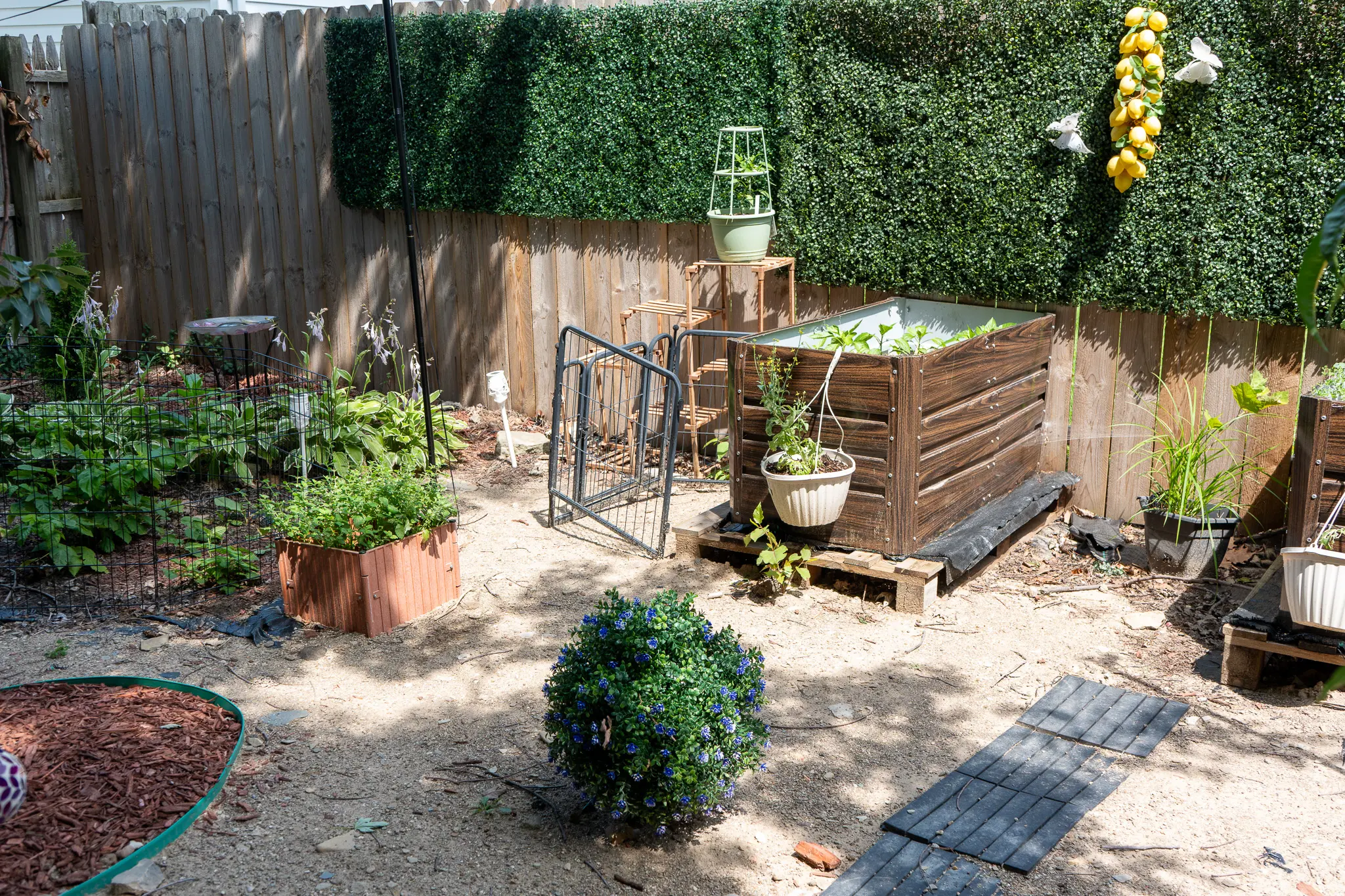 Plant beds in Lisa Love's backyard garden.