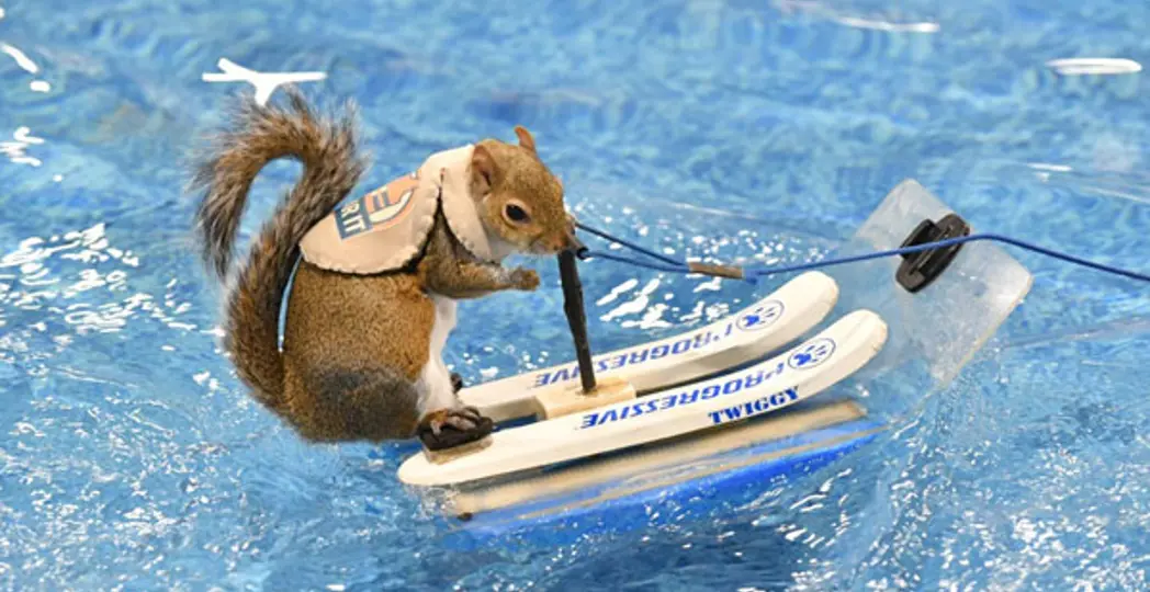 Cleveland Boat Show at the I-X Center