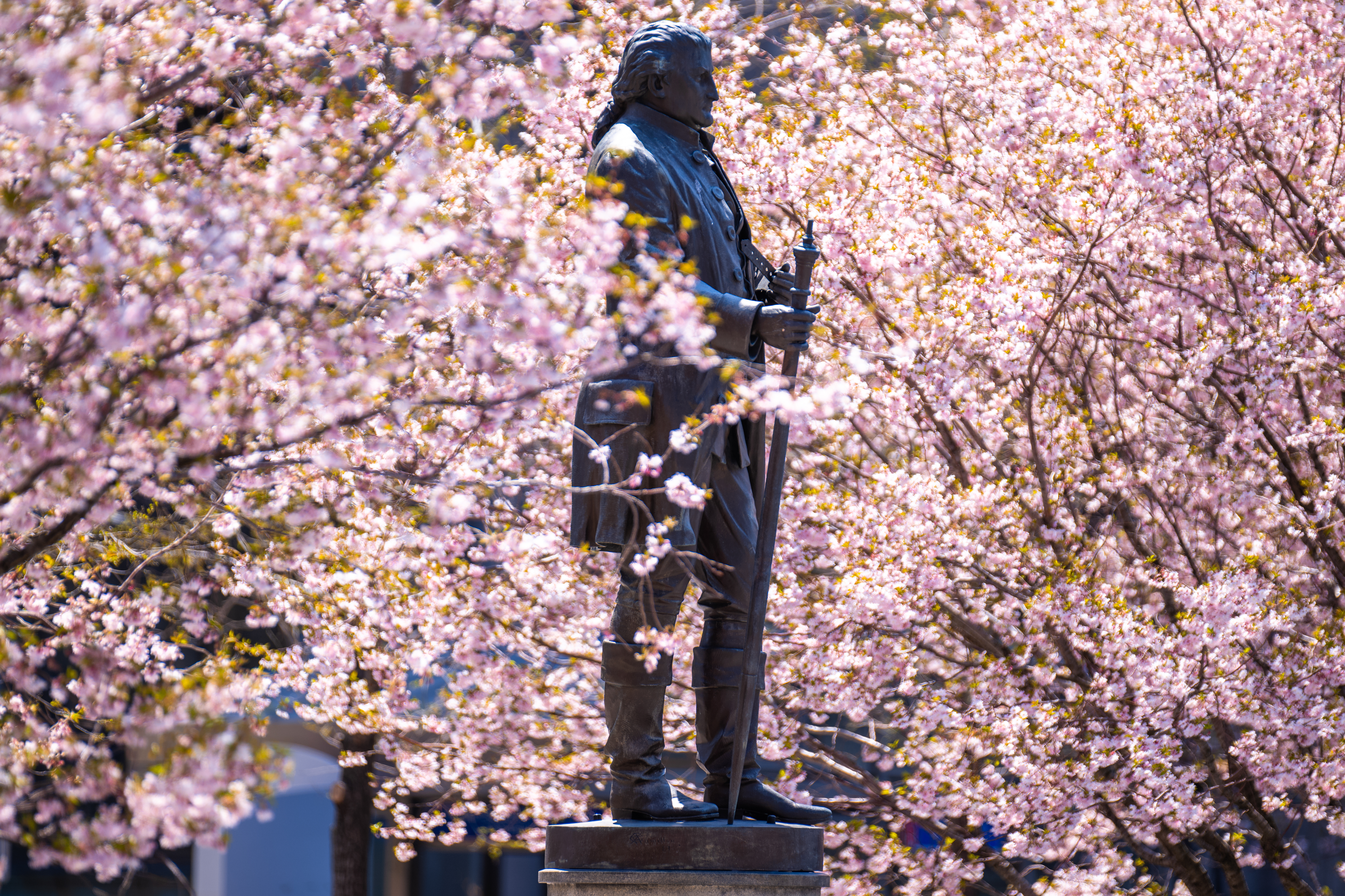 Courtesy Erik Drost via Flickr