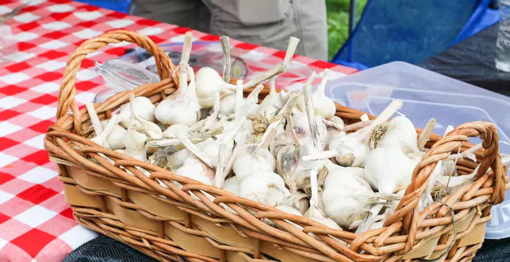 Cleveland Garlic Festival | Photographed by Emanuel Wallace