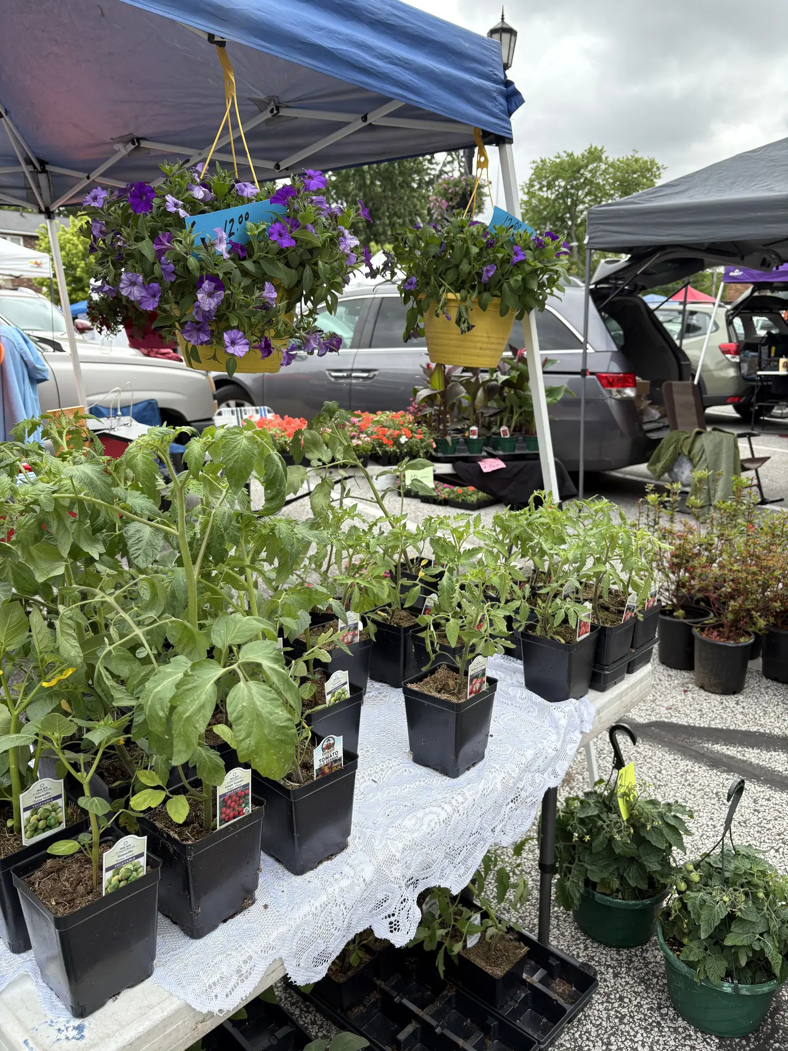 3 Reasons to Visit Heart of Willoughby Outdoor Market: Best of the East