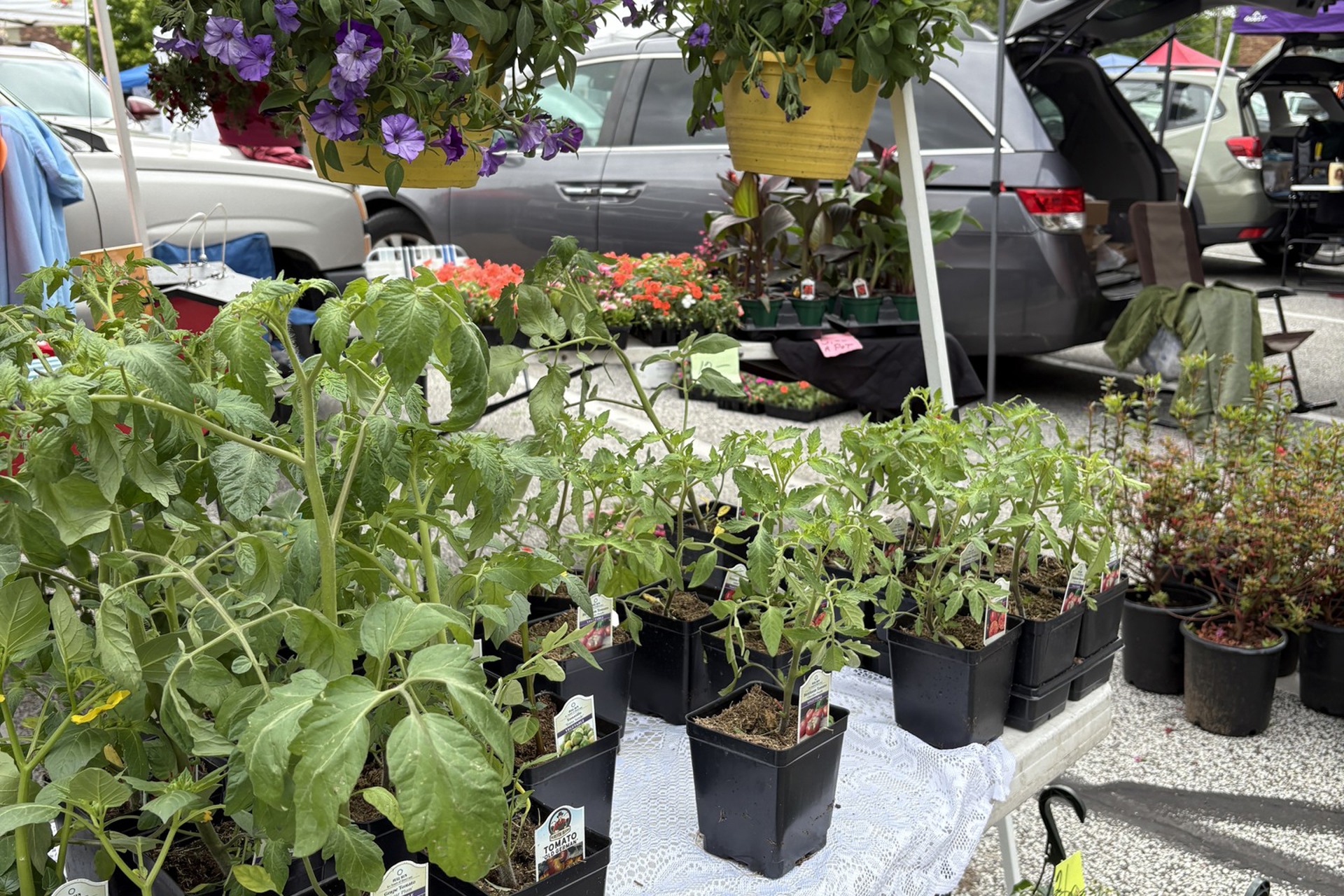 3 Reasons to Visit Heart of Willoughby Outdoor Market: Best of the East