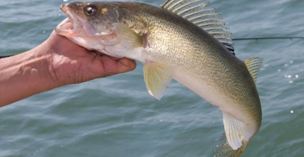 Courtesy Ohio Department of Natural Resources