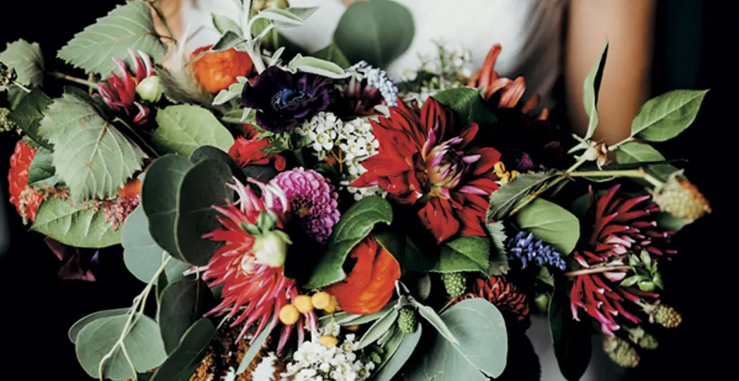 Lizzie Shafer, LSCreative