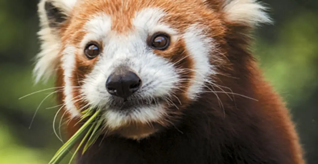 Emily Flory, Kyle Lanzer, Carl Harp